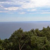 Land plot in Greece, 2000 sq.m.