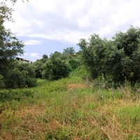 Land plot in Greece, 2000 sq.m.