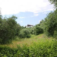 Land plot in Greece, 2000 sq.m.