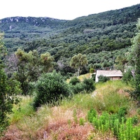 Земельный участок в Греции, 4170 кв.м.