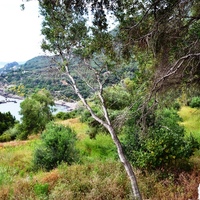 Земельный участок в Греции, 4170 кв.м.