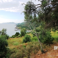 Земельный участок в Греции, 4170 кв.м.