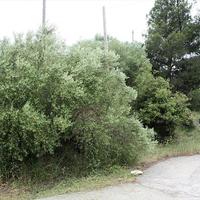 Land plot in Greece