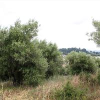 Land plot in Greece