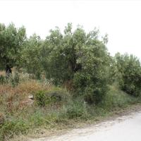 Land plot in Greece