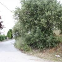 Land plot in Greece