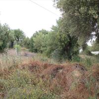 Land plot in Greece