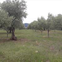 Земельный участок в Греции