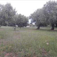 Земельный участок в Греции