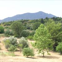 Земельный участок в Греции, 4000 кв.м.