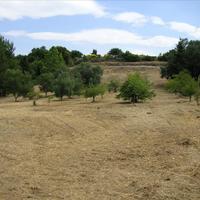 Земельный участок в Греции, 4000 кв.м.