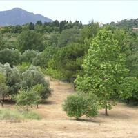 Земельный участок в Греции, 4000 кв.м.