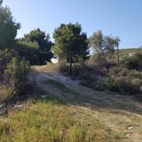Land plot in Greece