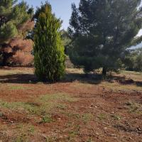 Land plot in Greece