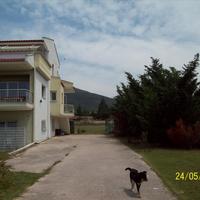 Другое в Греции, 240 кв.м.