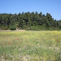 Land plot in Greece