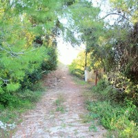 Land plot in Greece