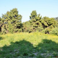 Land plot in Greece