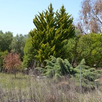 Земельный участок в Греции