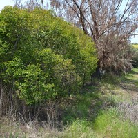 Земельный участок в Греции