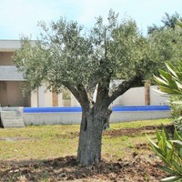 Вилла в Греции, 340 кв.м.