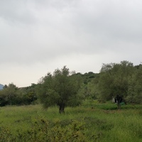 Land plot in Greece, 2000 sq.m.