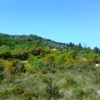 Land plot in Greece, 9375 sq.m.