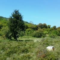 Land plot in Greece, 9375 sq.m.