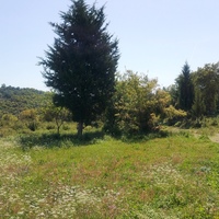 Land plot in Greece, 9375 sq.m.