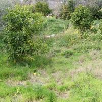 Land plot in Greece