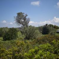 Land plot in Greece