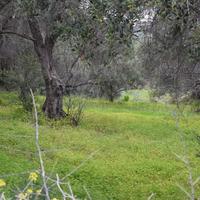 Земельный участок в Греции