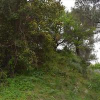 Земельный участок в Греции