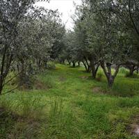 Земельный участок в Греции