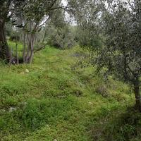 Земельный участок в Греции