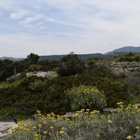 Земельный участок в Греции