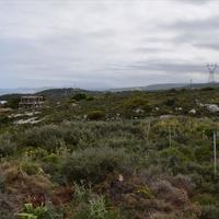 Земельный участок в Греции