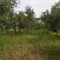 Land plot in Greece