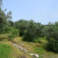 Land plot in Greece