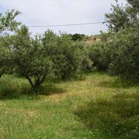 Land plot in Greece