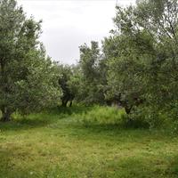 Land plot in Greece