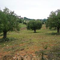 Land plot in Greece