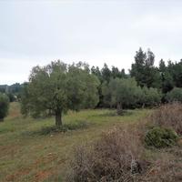 Land plot in Greece