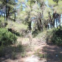 Land plot in Greece