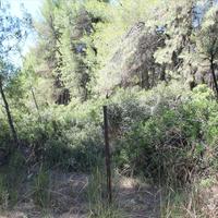 Land plot in Greece