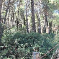 Land plot in Greece