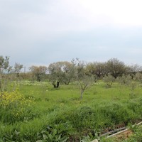 Land plot in Greece