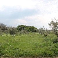 Land plot in Greece