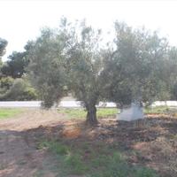 Земельный участок в Греции