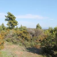 Земельный участок в Греции